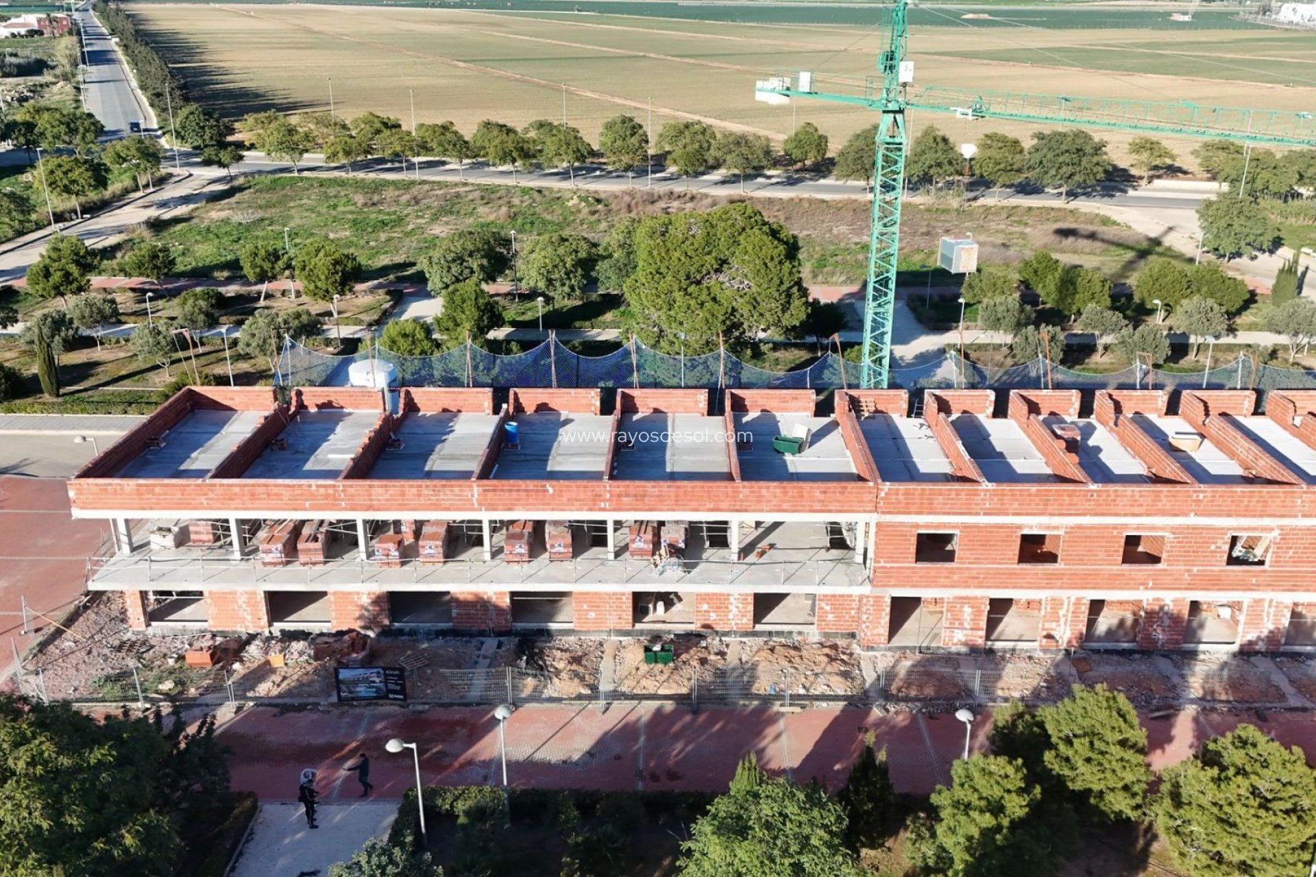 Obra nueva - Casa - Pilar de la Horadada - pueblo