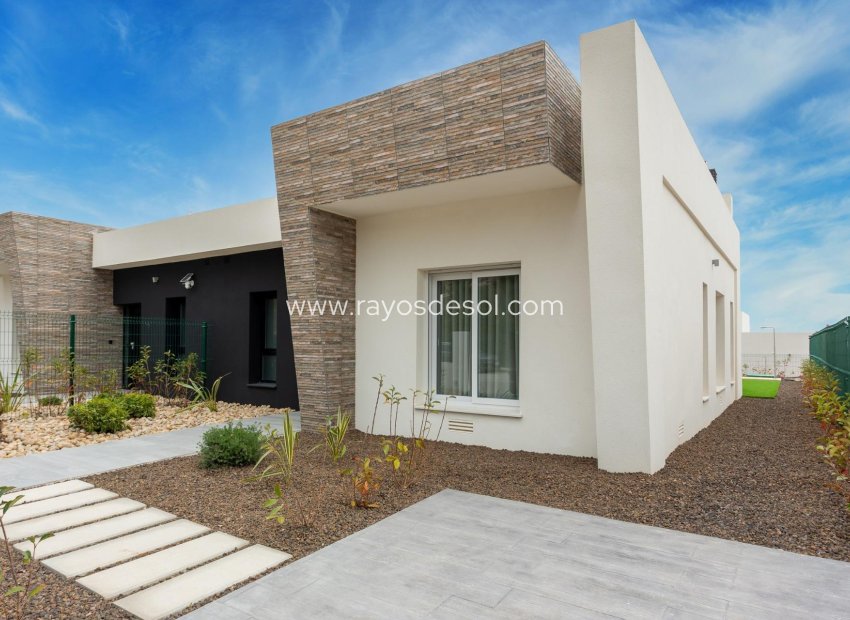 Obra nueva - Villa - Algorfa - La Finca Golf