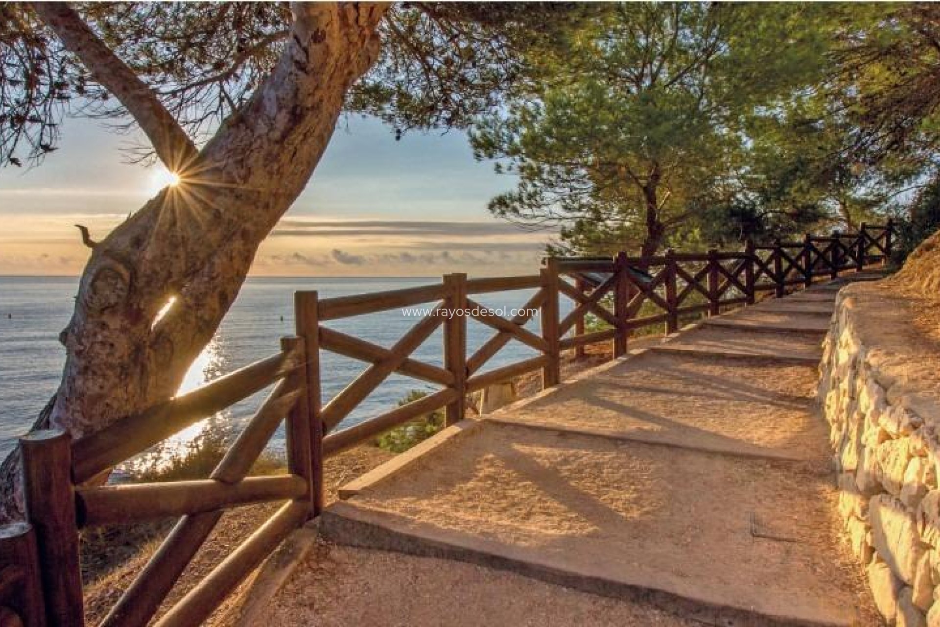 Obra nueva - Villa - Benissa