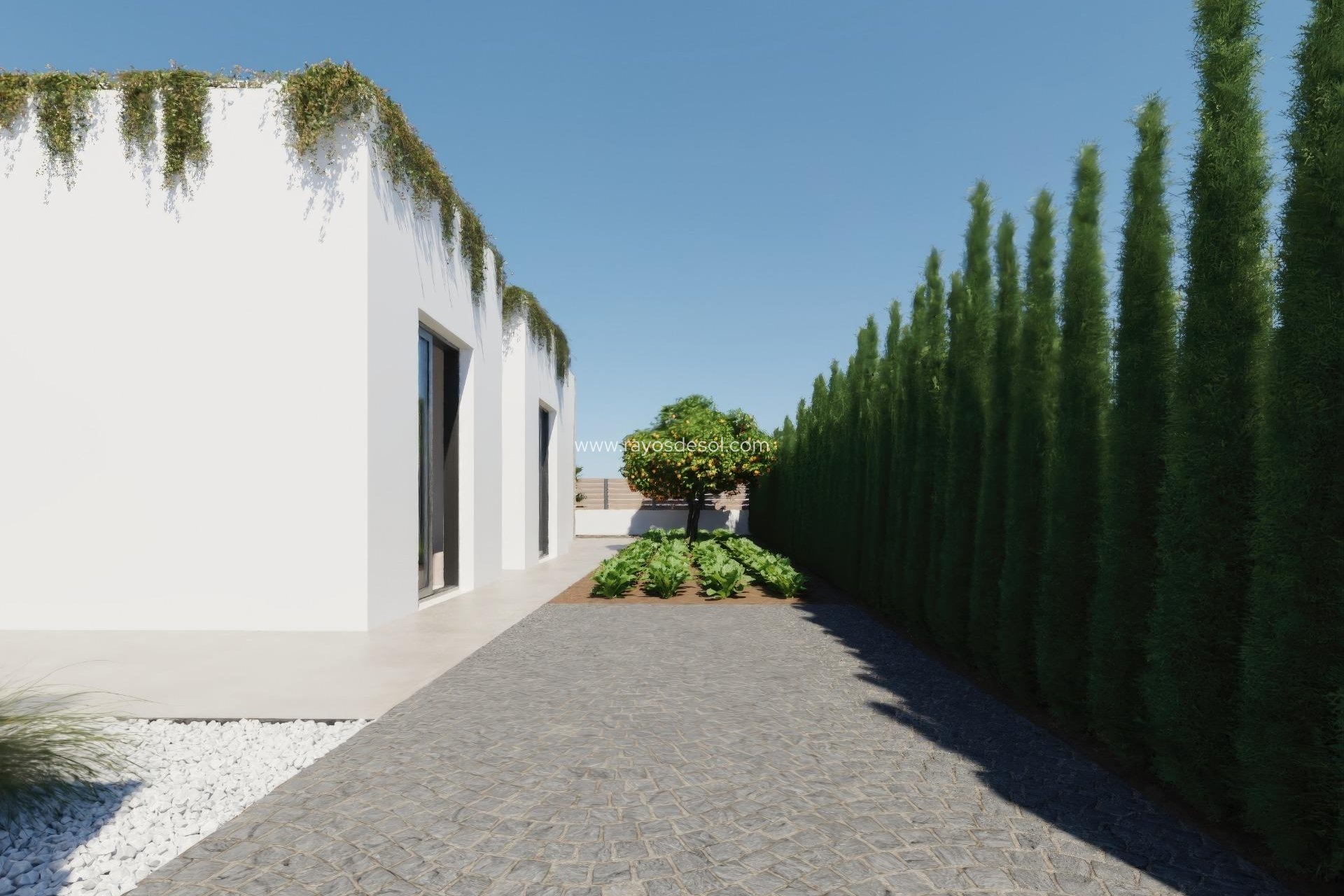 Obra nueva - Villa - Fuente Álamo - Hacienda del Alamo