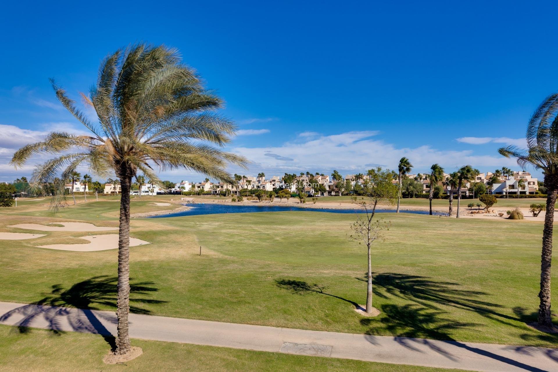 Obra nueva - Villa - Pilar de la Horadada - Lo Romero Golf