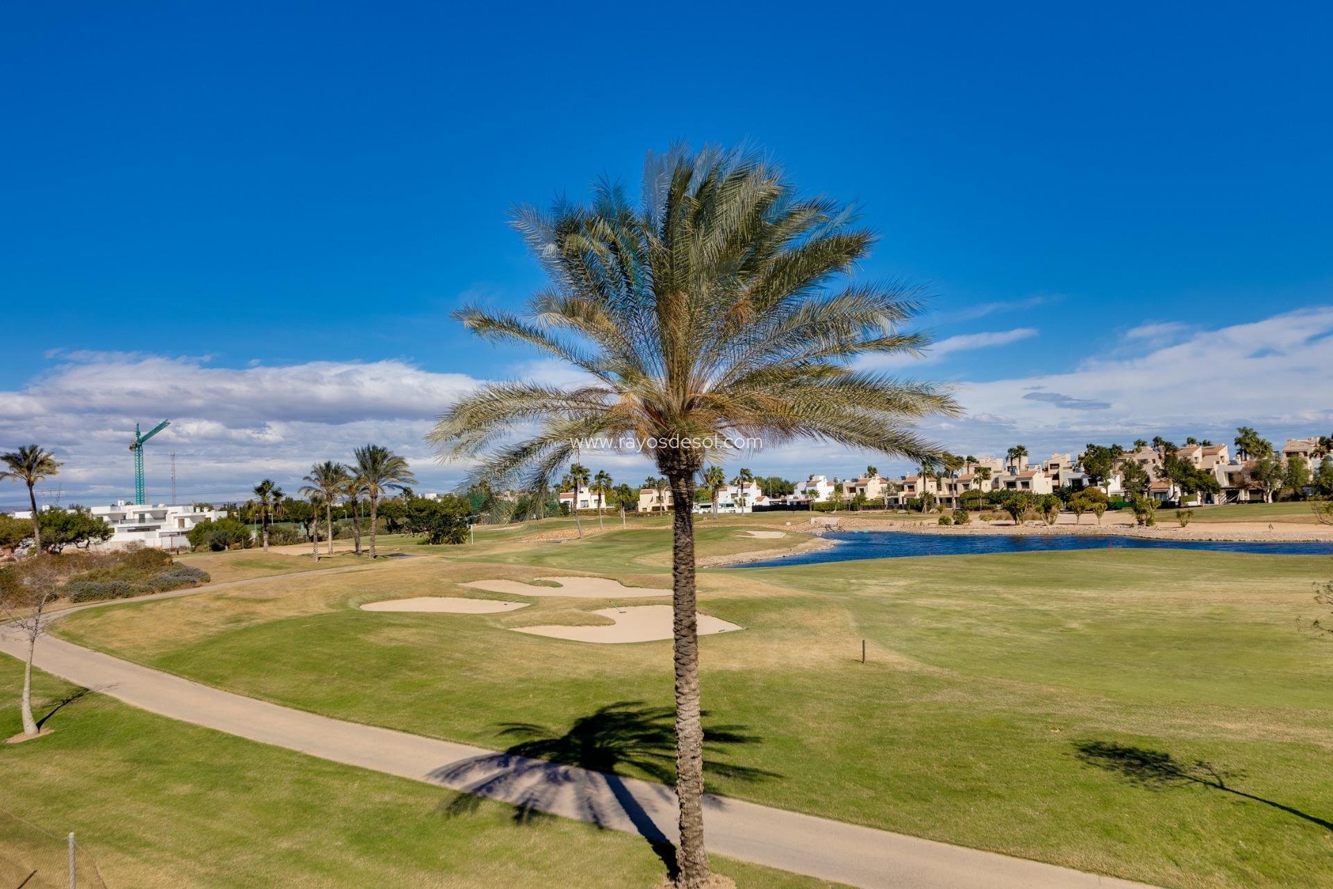Obra nueva - Villa - Pilar de la Horadada - Lo Romero Golf