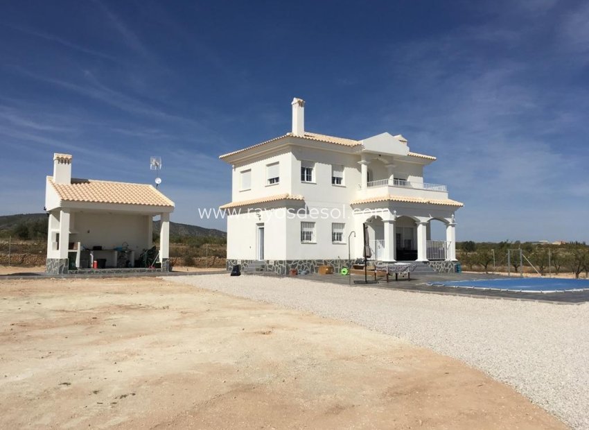 Obra nueva - Villa - Pinoso - Camino Del Prado