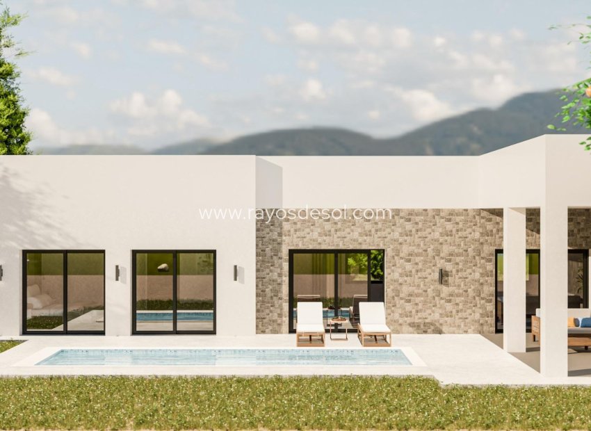 Obra nueva - Villa - Pinoso - Campo