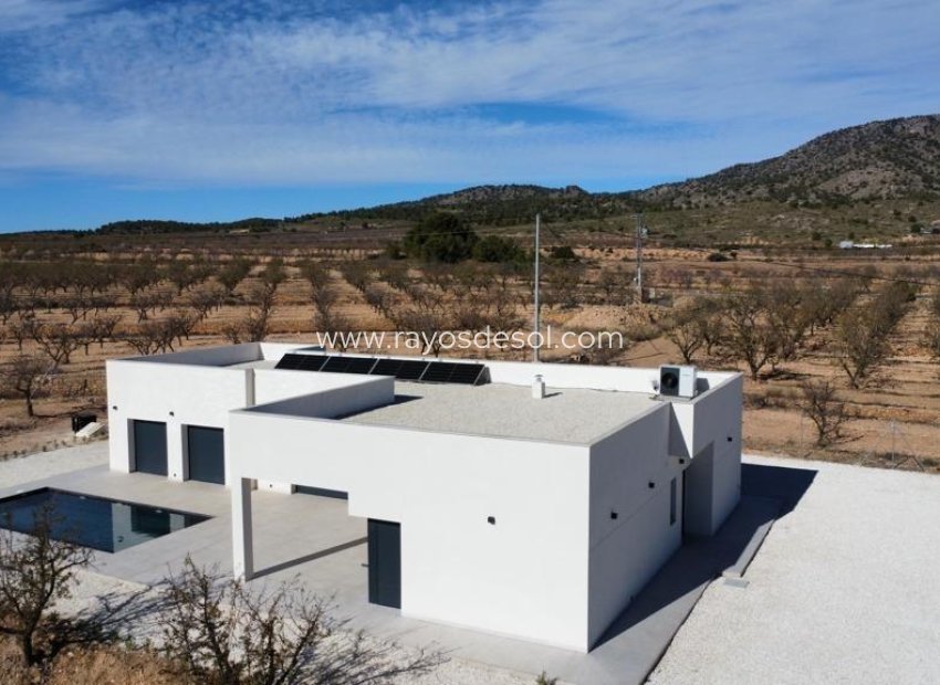 Obra nueva - Villa - Pinoso - Campo