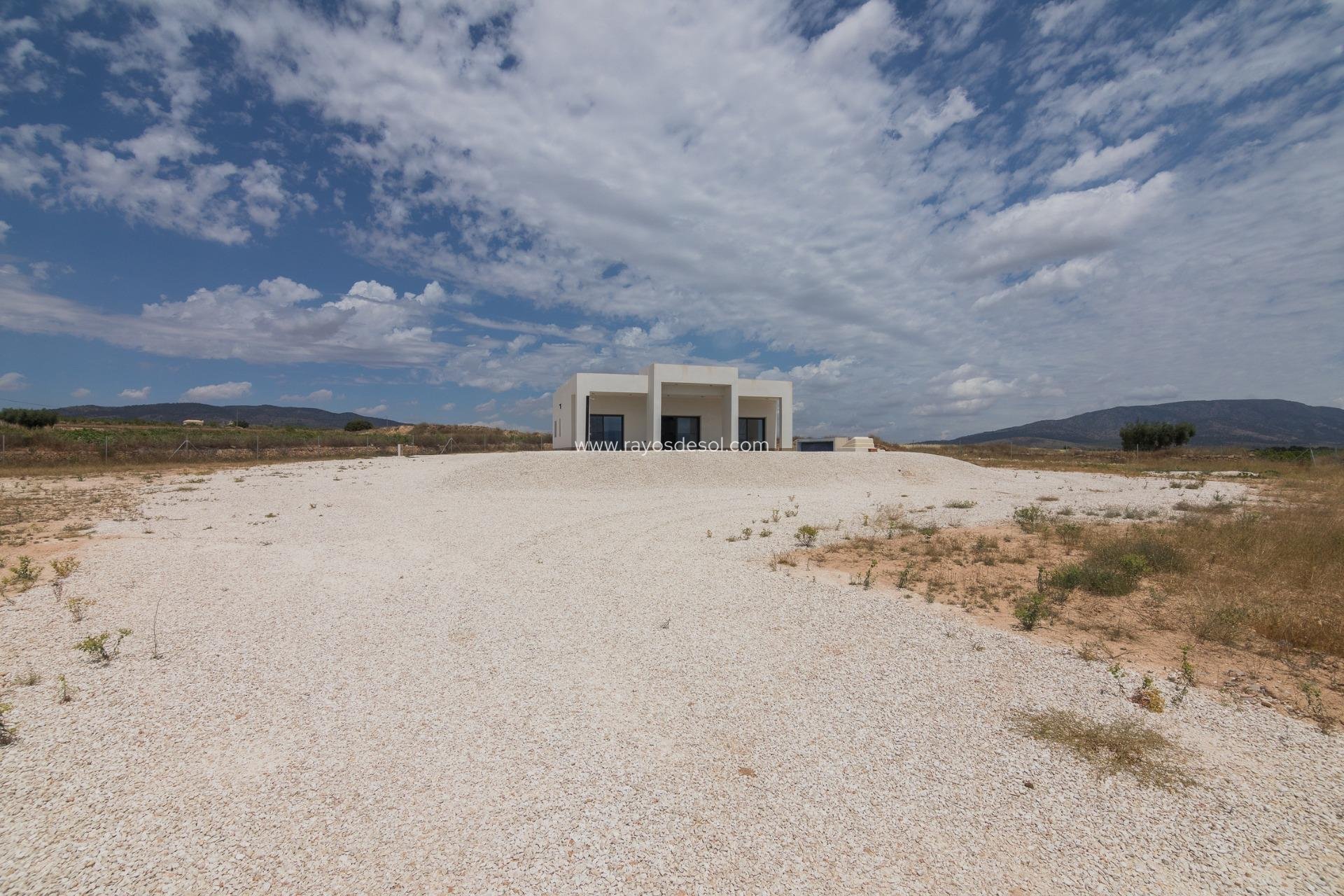 Obra nueva - Villa - Pinoso - Campo