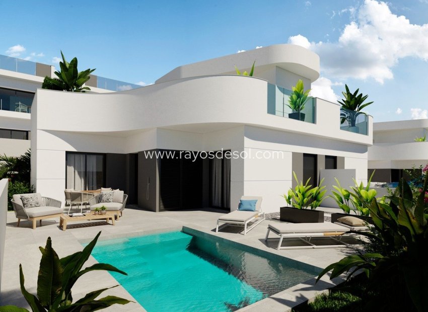 Obra nueva - Villa - Torrevieja - Lago Jardin