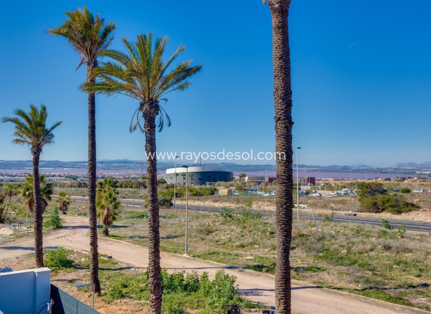 Obra nueva - Villa - Torrevieja - Sector 25