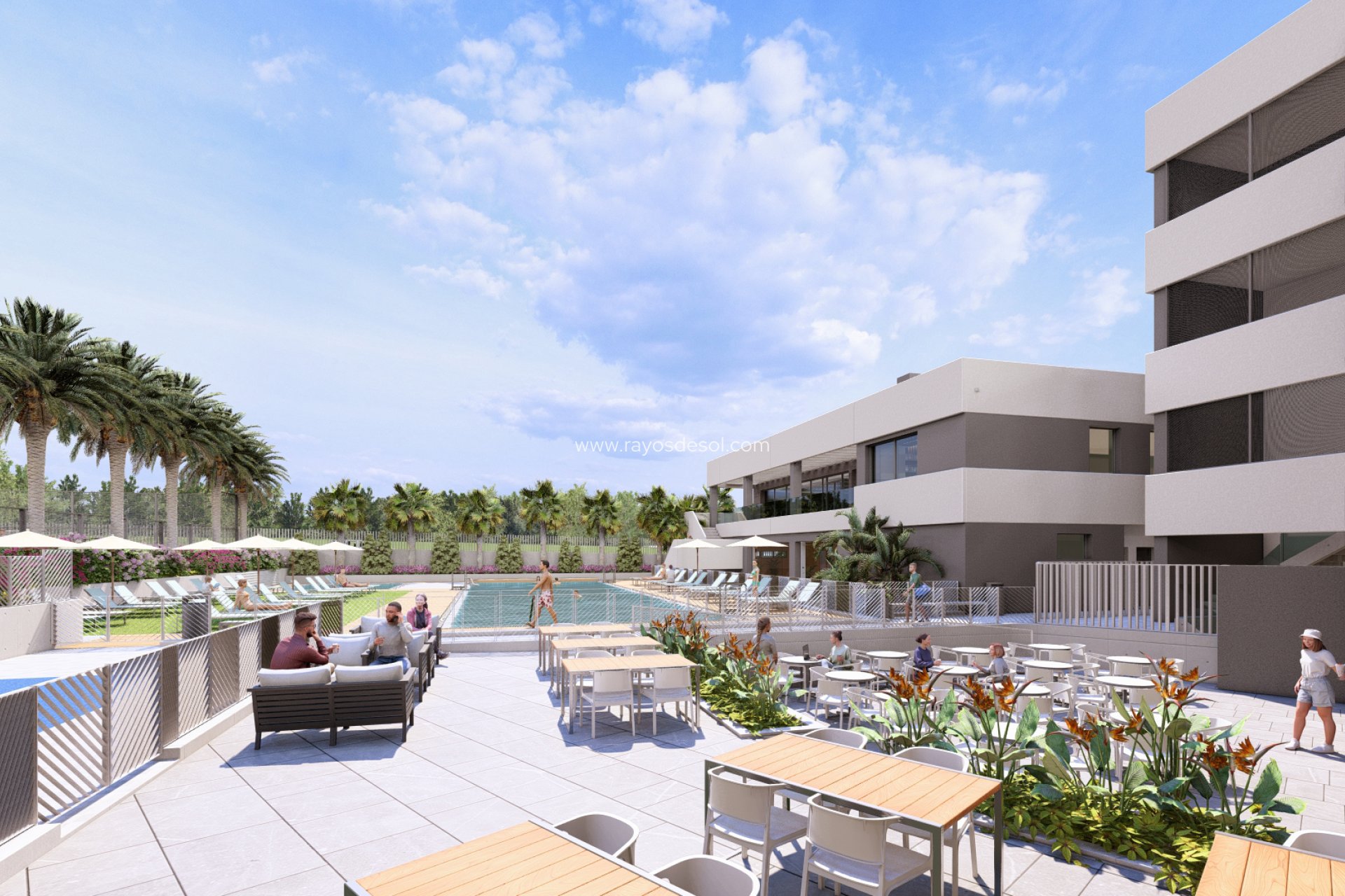 Obra nueva - Villa - Torrevieja - Spain