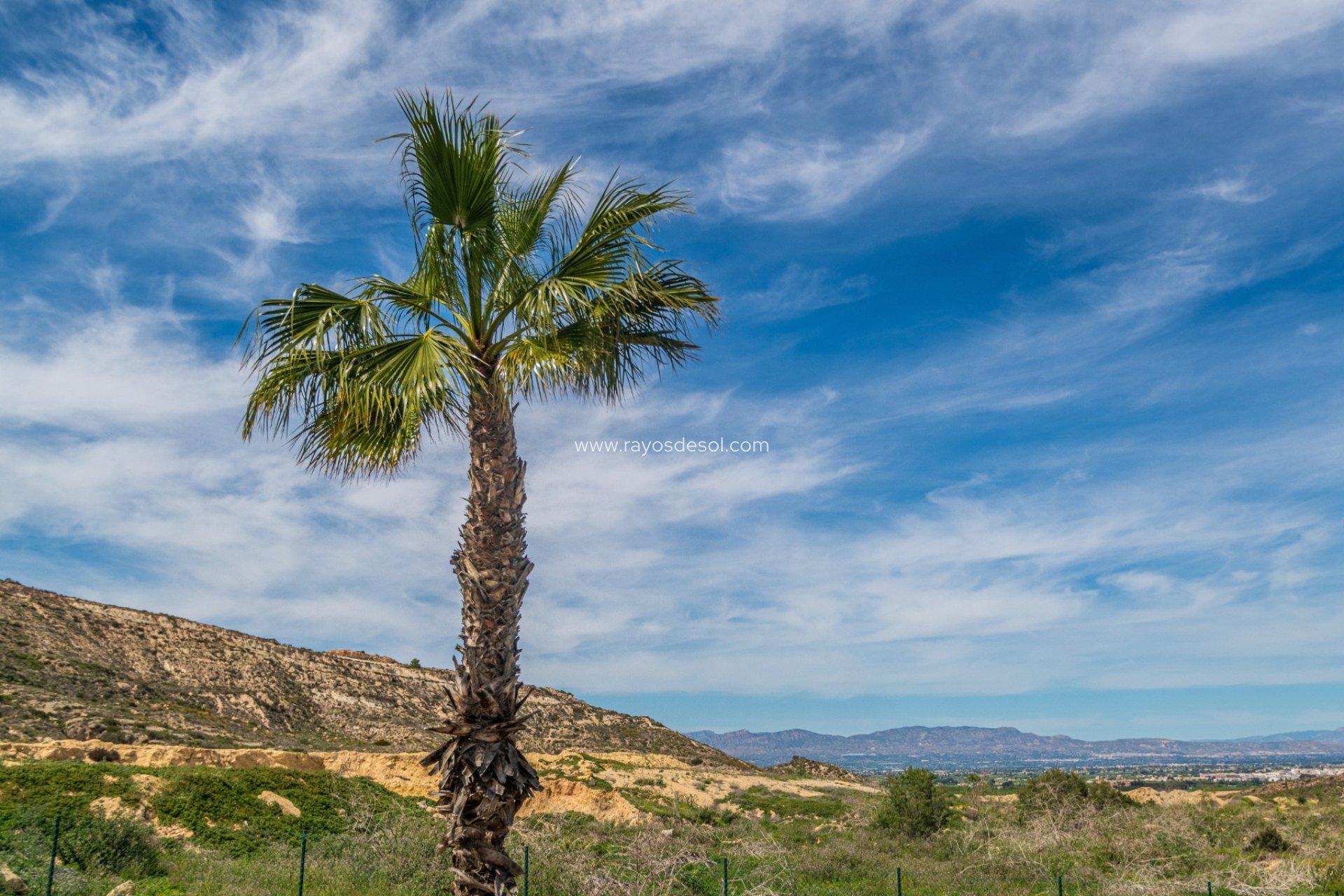 Resale - Apartment - Algorfa - La Finca Golf