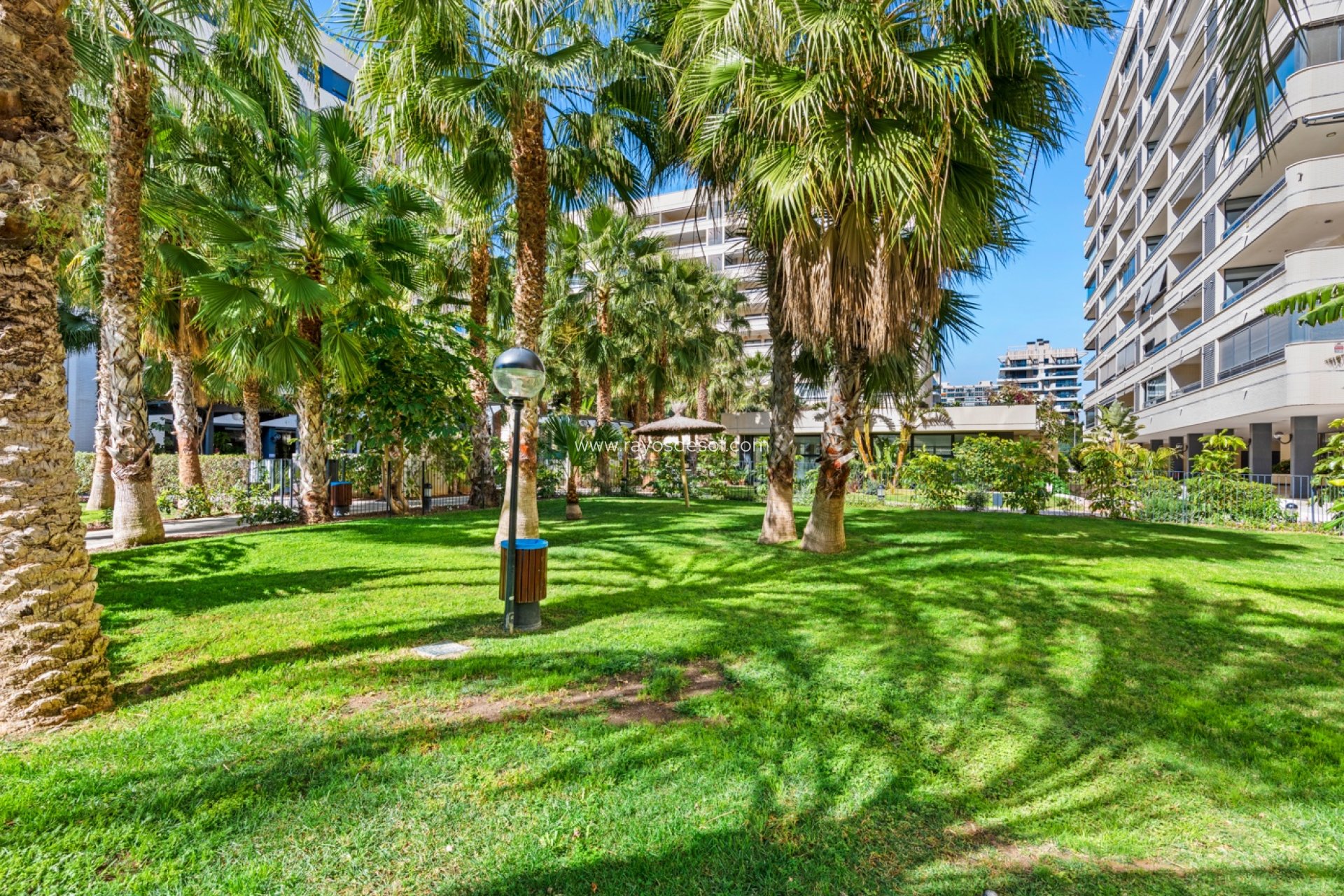 Resale - Apartment - Alicante - Playa San Juan