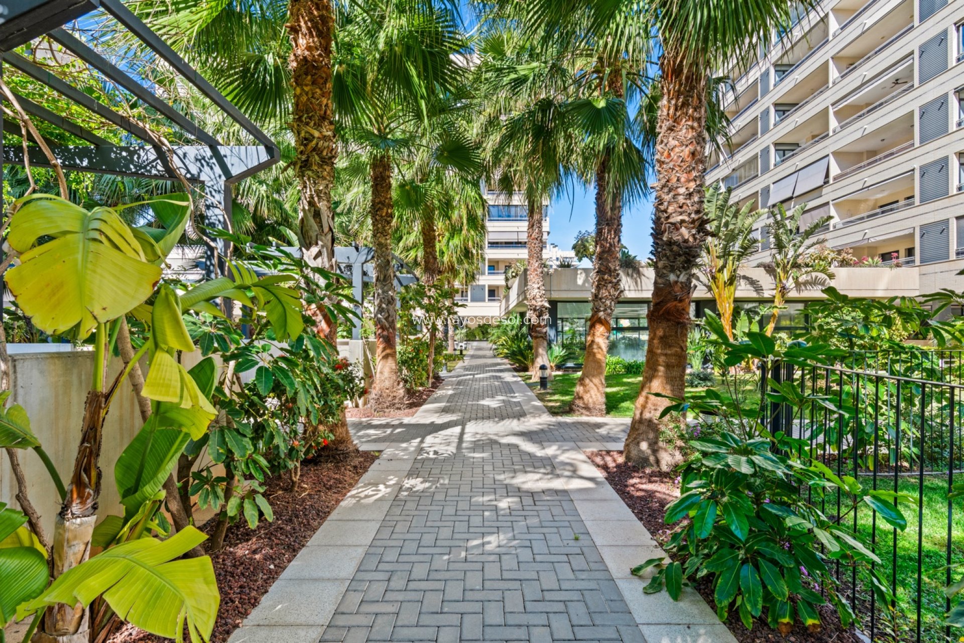 Resale - Apartment - Alicante - Playa San Juan