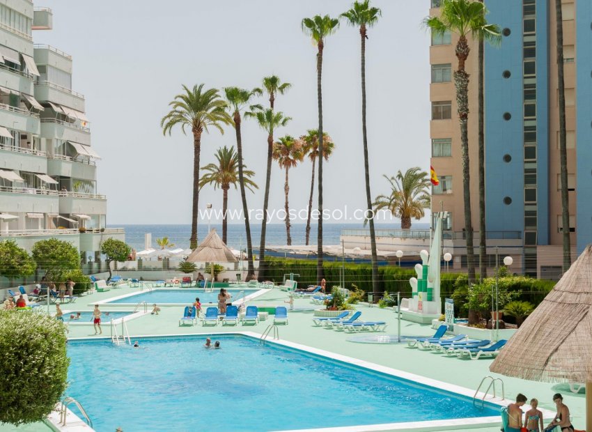 Resale - Apartment - Calpe - Playa de Fossa-Levante