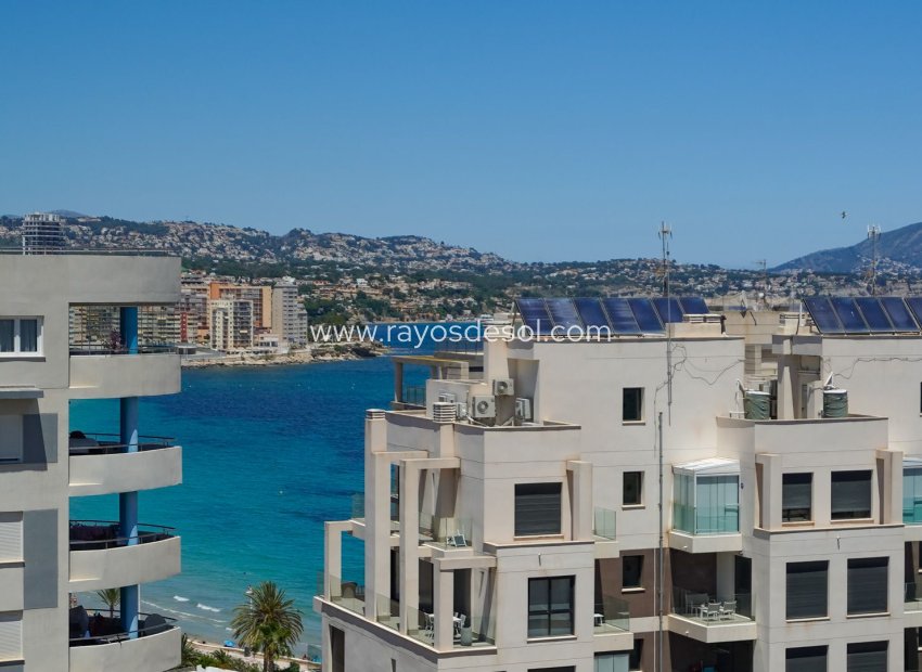 Resale - Apartment - Calpe - Puerto