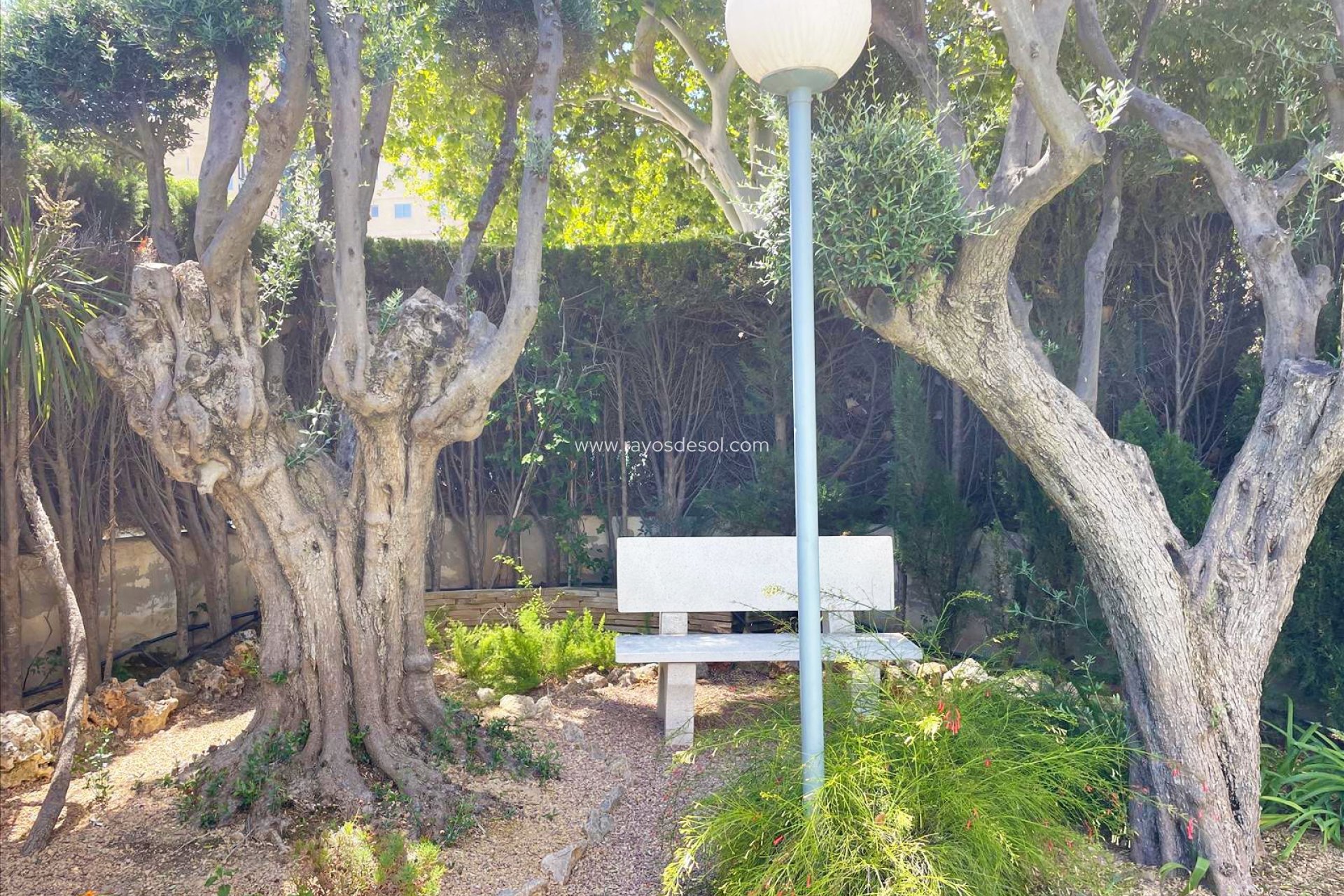 Resale - Apartment - Calpe