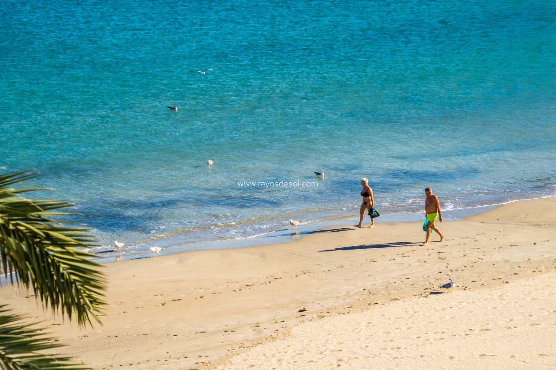 Resale - Apartment - Calpe