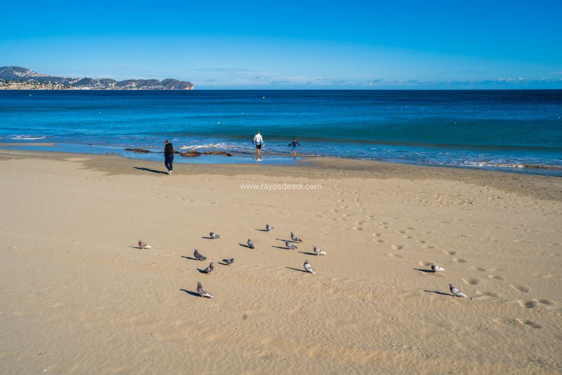 Resale - Apartment - Calpe