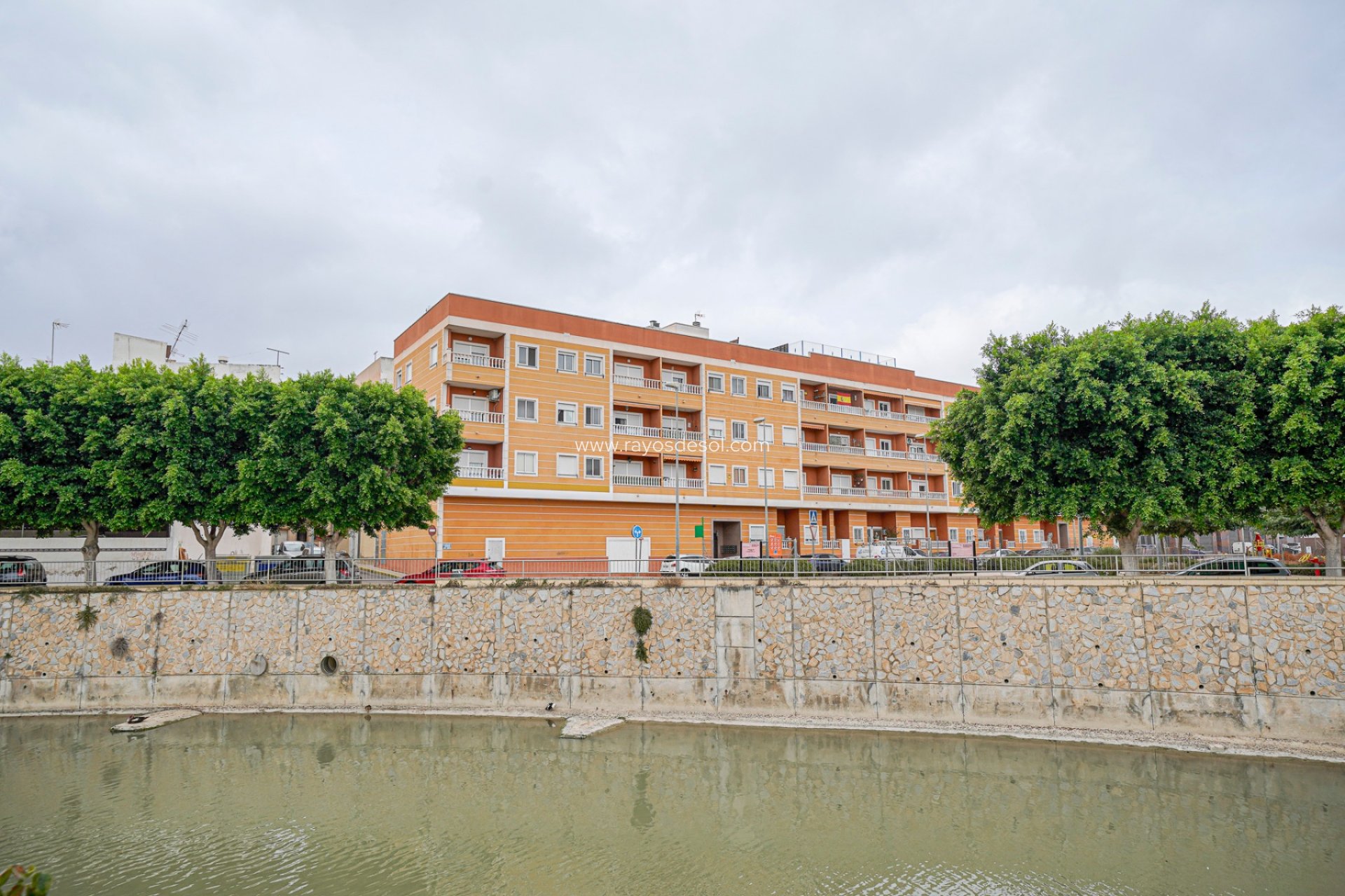 Resale - Apartment - Ciudad Quesada/Rojales - Rojales