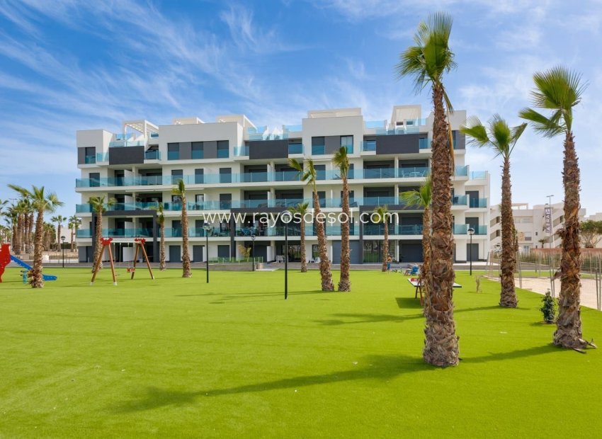 Resale - Apartment - Guardamar del Segura - El Raso