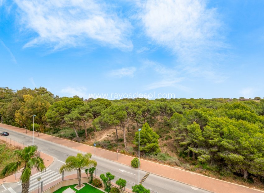 Resale - Apartment - Guardamar del Segura - Guardamar Del Segura