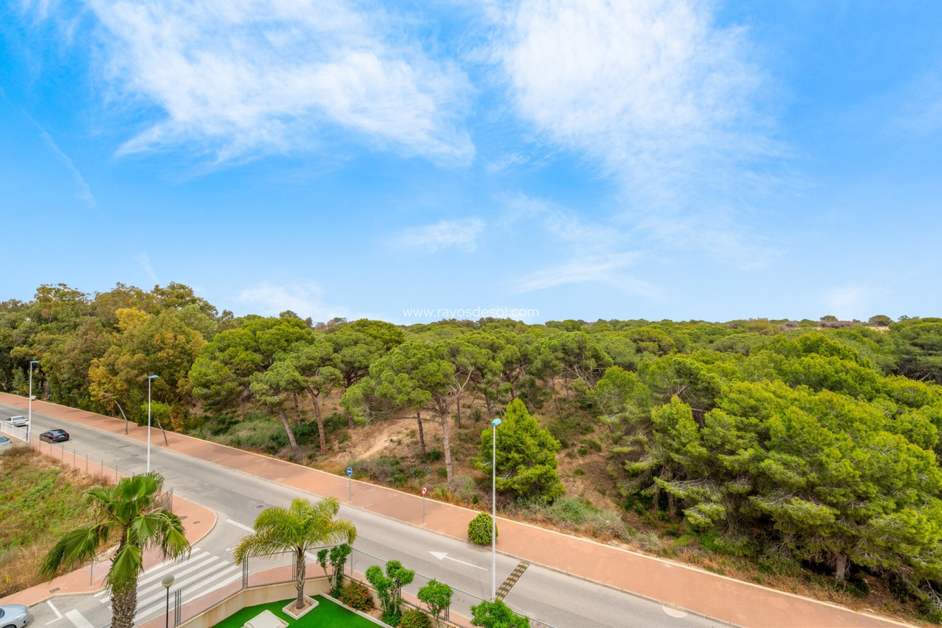 Resale - Apartment - Guardamar del Segura - Guardamar Del Segura