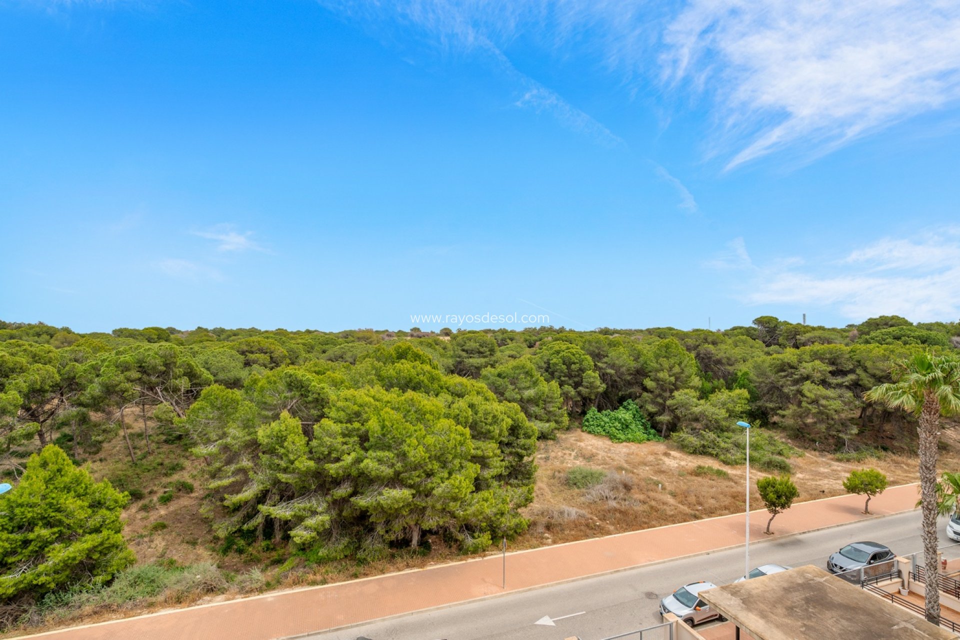 Resale - Apartment - Guardamar del Segura - Guardamar Del Segura