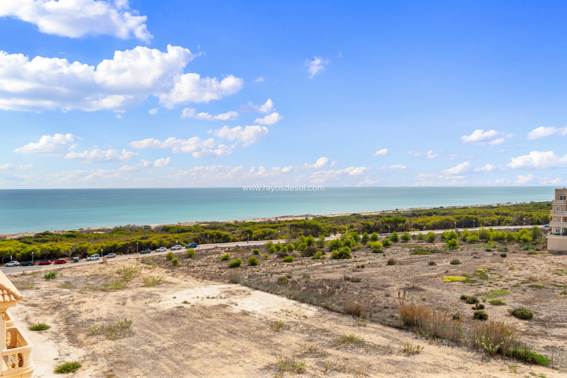 Resale - Apartment - Guardamar del Segura - Guardamar Del Segura