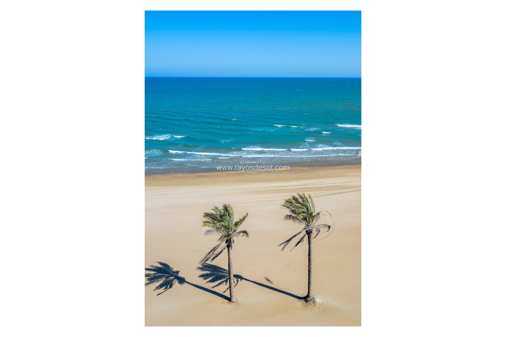 Resale - Apartment - Guardamar del Segura - Guardamar Del Segura