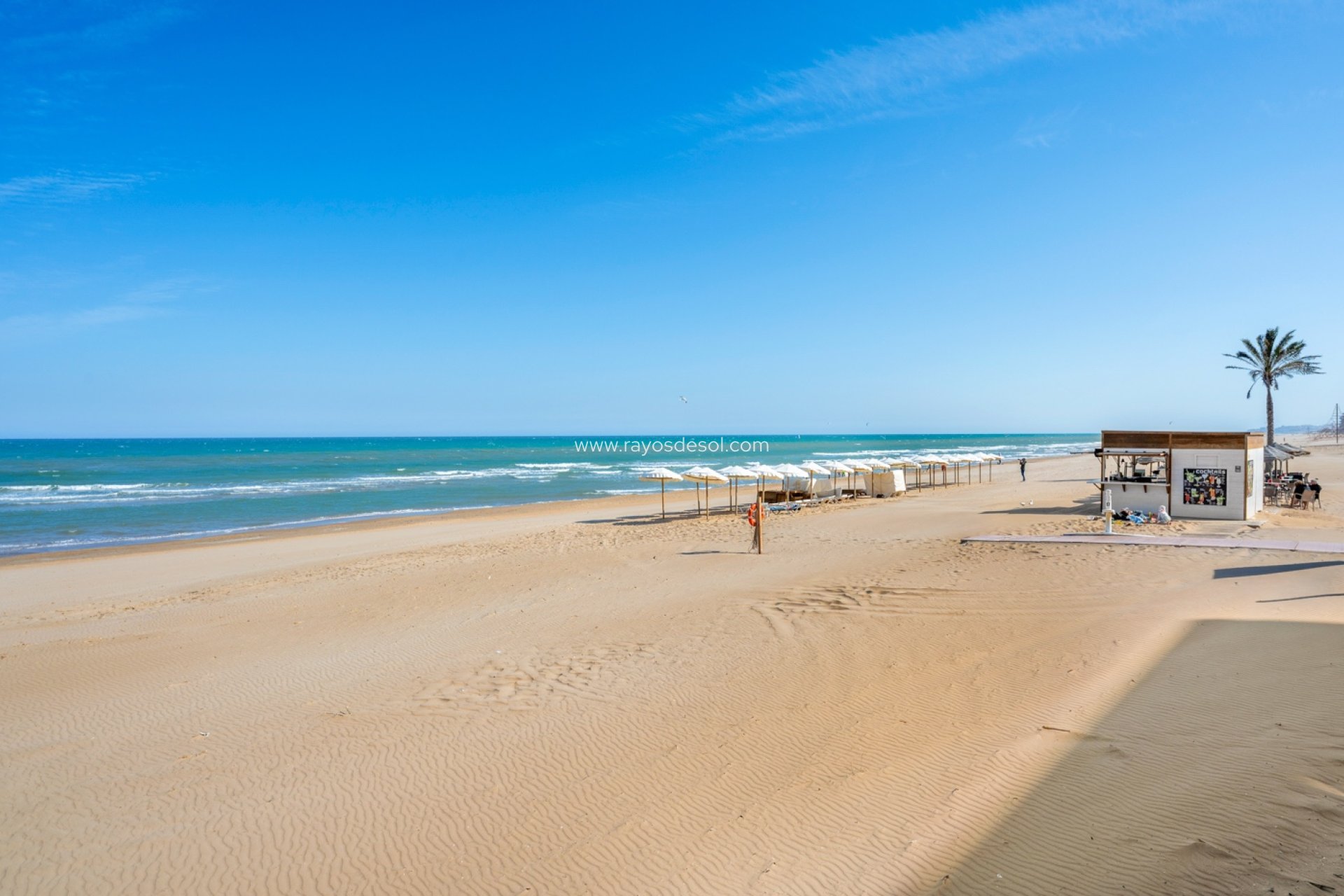 Resale - Apartment - Guardamar del Segura - Guardamar Del Segura