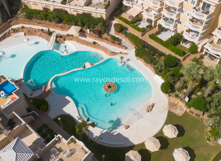 Resale - Apartment - Guardamar del Segura - Guardamar Del Segura