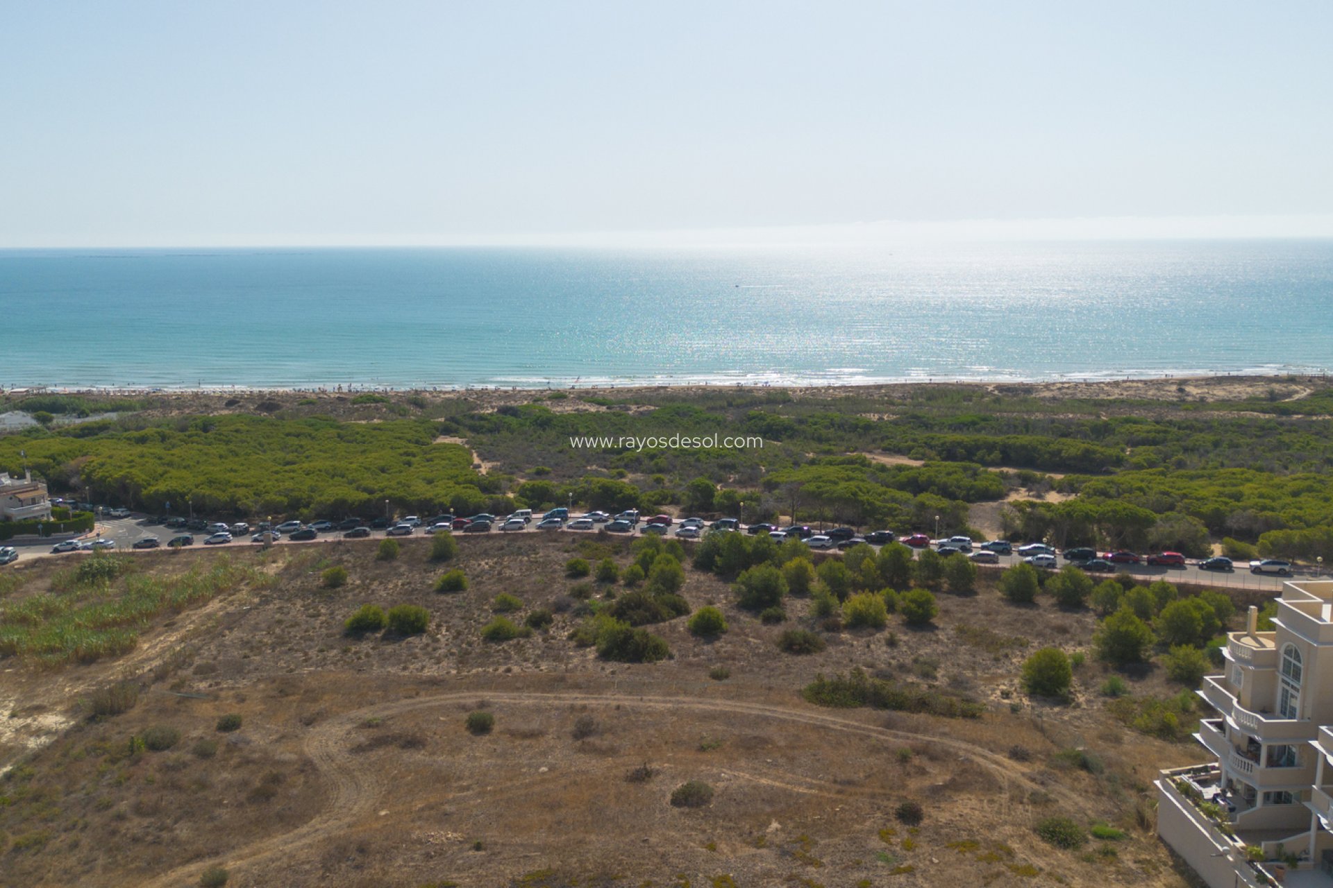 Resale - Apartment - Guardamar del Segura - Guardamar Del Segura