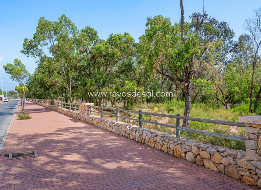Resale - Apartment - Guardamar del Segura - Guardamar