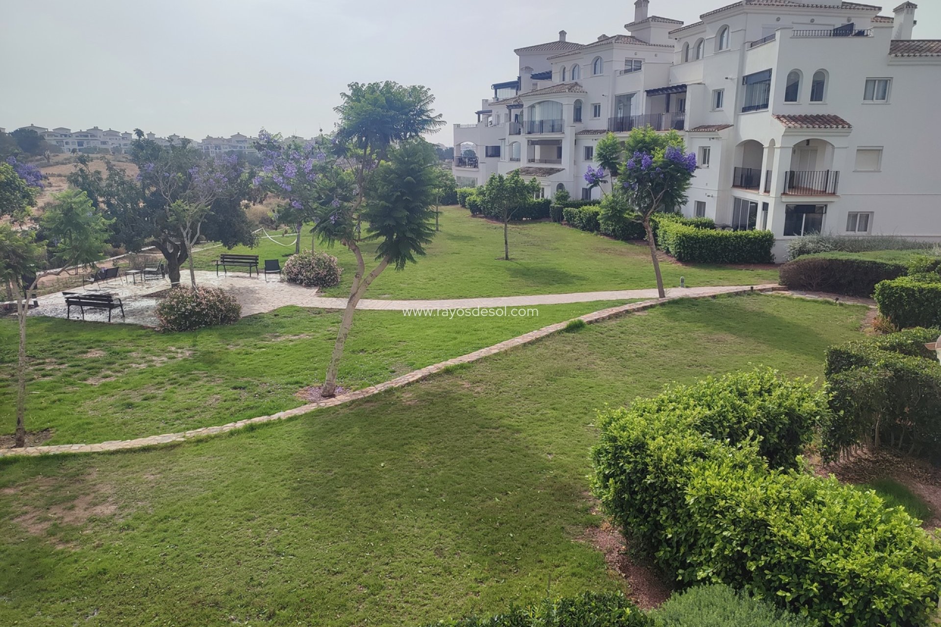 Resale - Apartment - Hacienda Riquelme Golf Resort