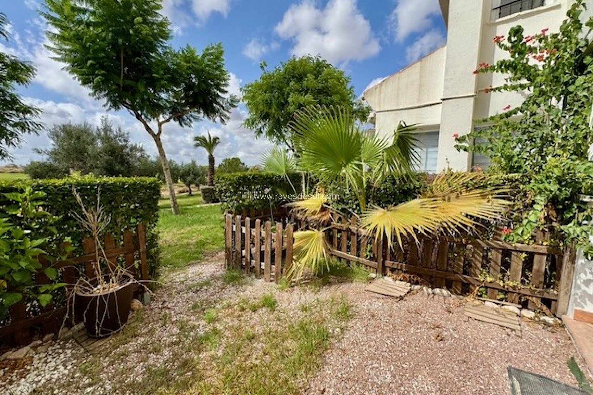 Resale - Apartment - Hacienda Riquelme Golf Resort