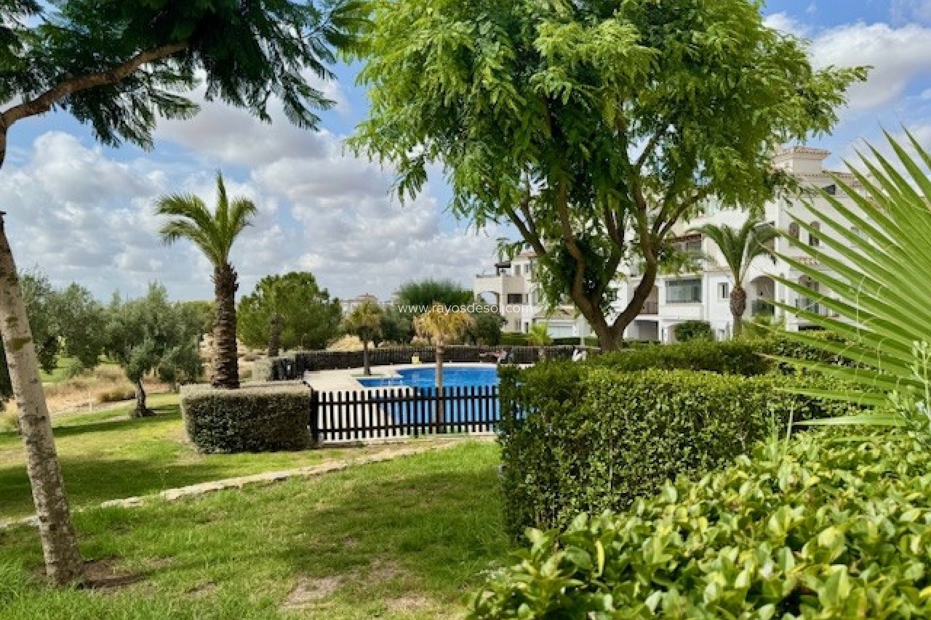 Resale - Apartment - Hacienda Riquelme Golf Resort