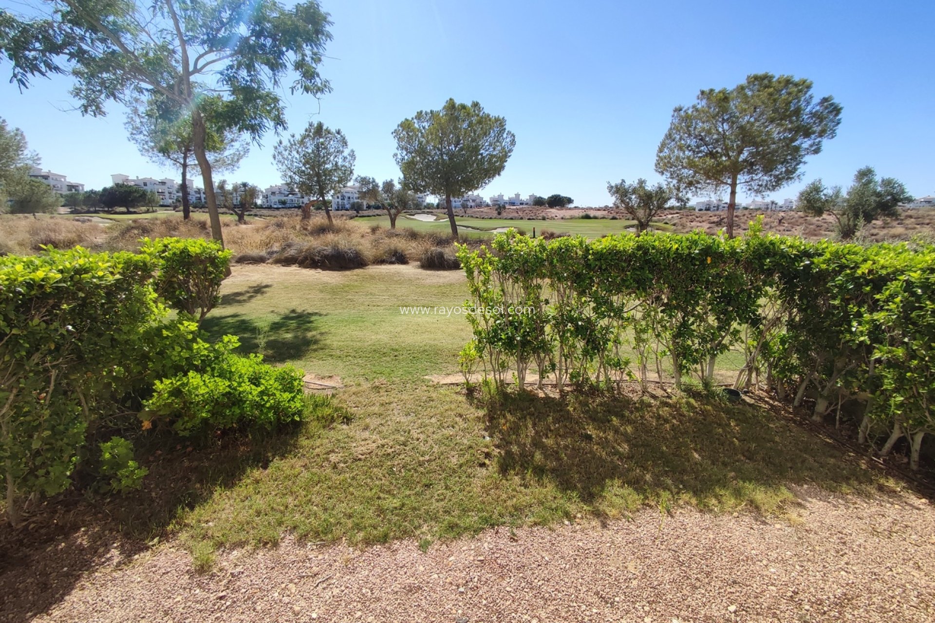 Resale - Apartment - Hacienda Riquelme Golf Resort