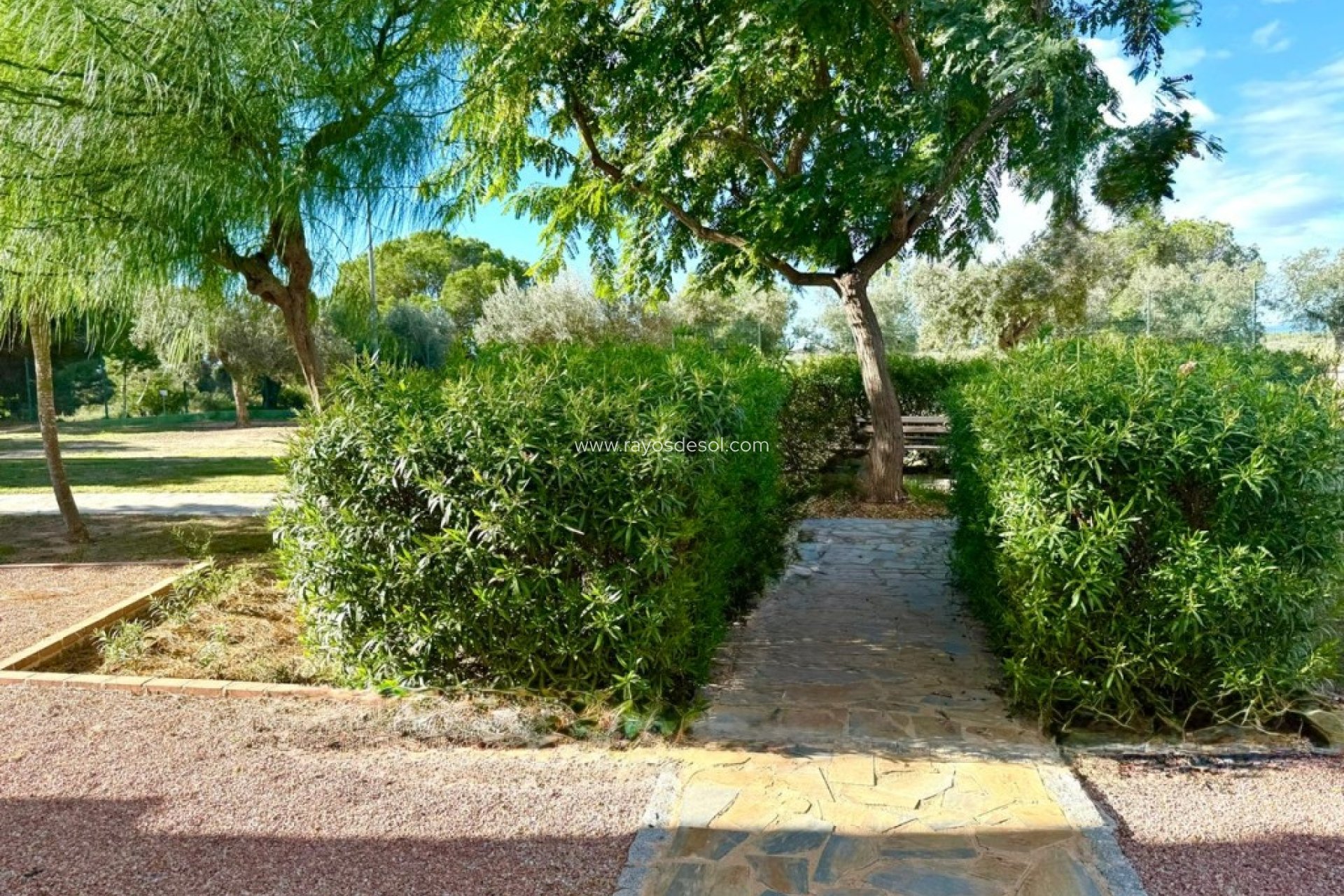 Resale - Apartment - Hacienda Riquelme Golf Resort