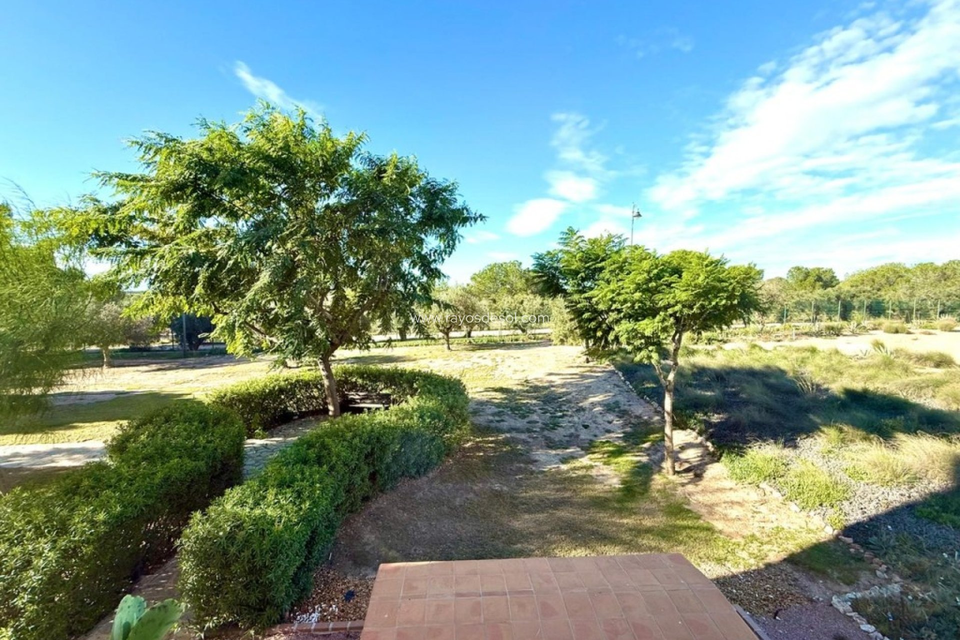 Resale - Apartment - Hacienda Riquelme Golf Resort