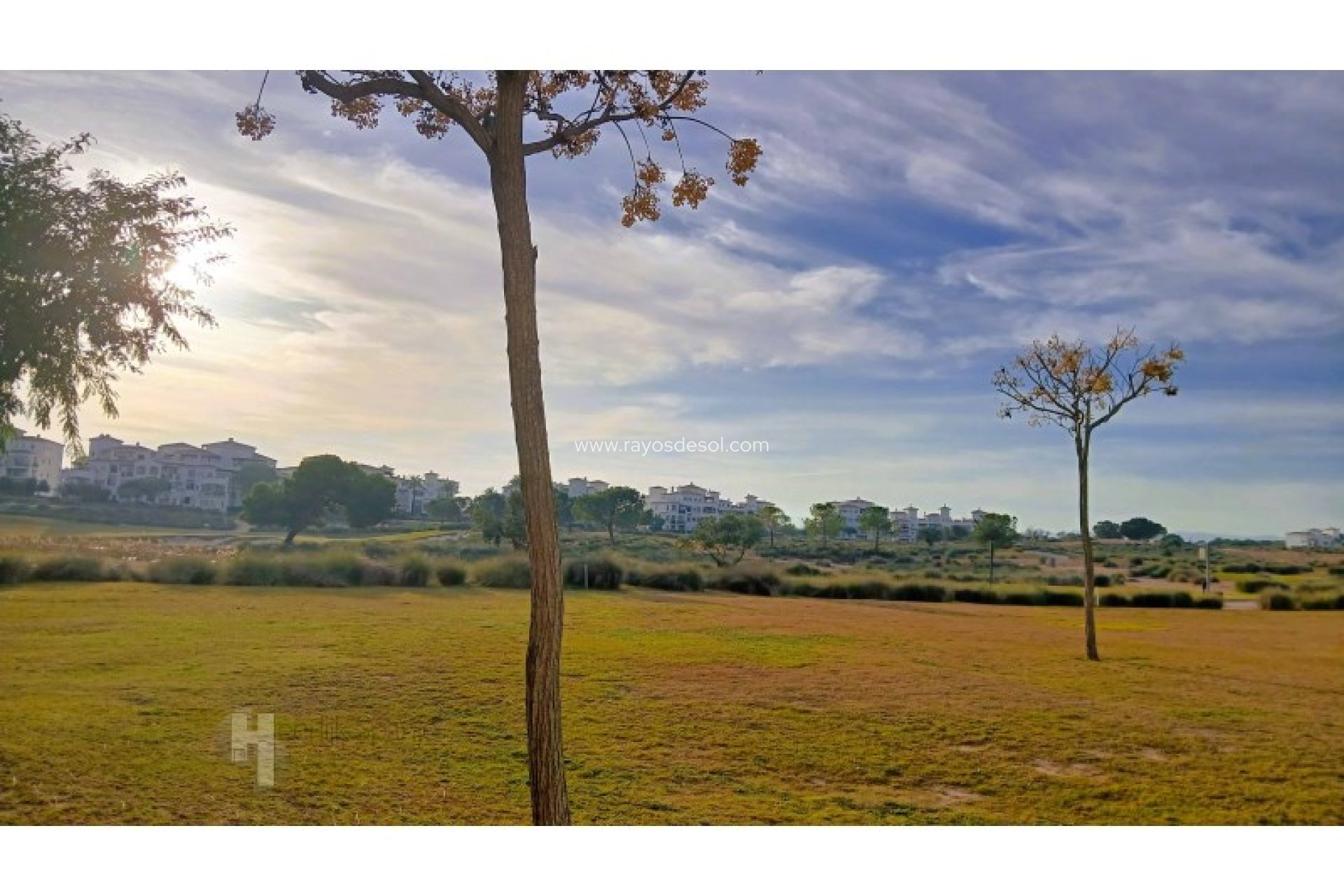 Resale - Apartment - Hacienda Riquelme Golf Resort