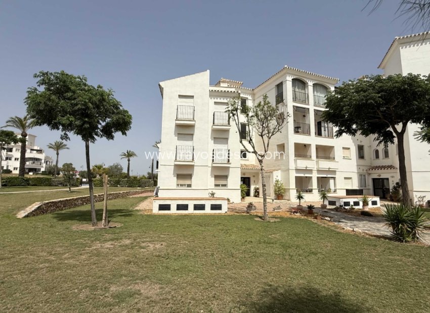 Resale - Apartment - Hacienda Riquelme Golf Resort