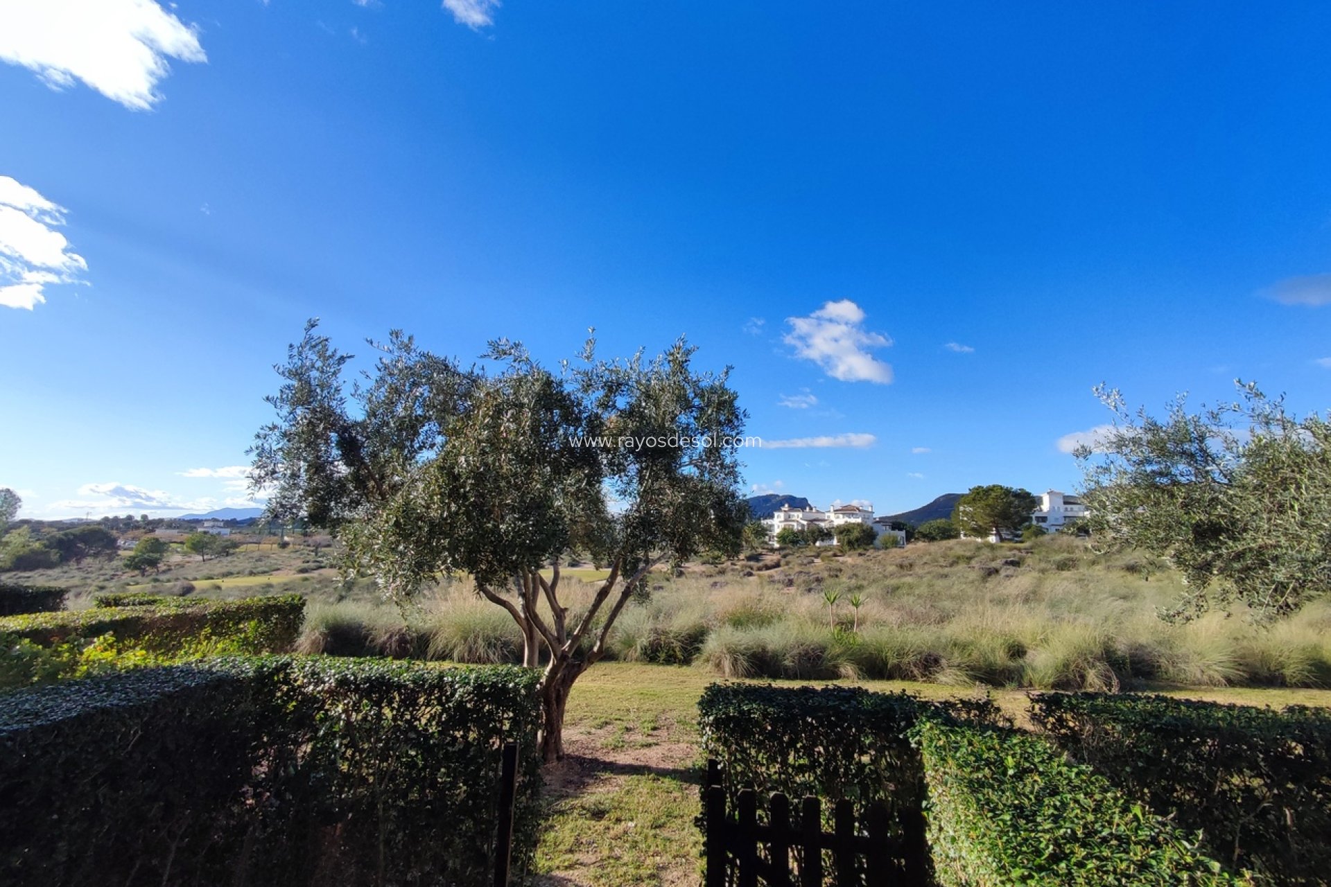 Resale - Apartment - Hacienda Riquelme Golf Resort