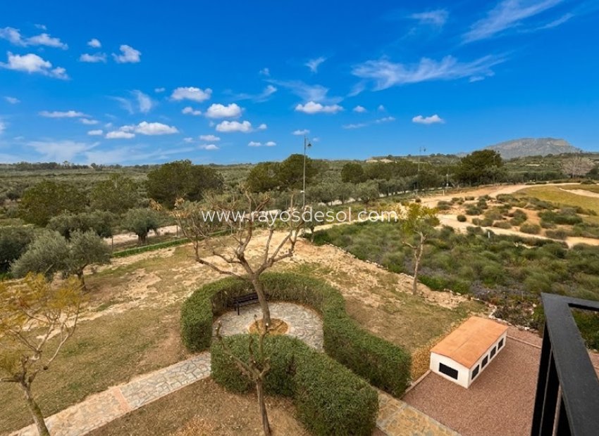 Resale - Apartment - Hacienda Riquelme Golf Resort