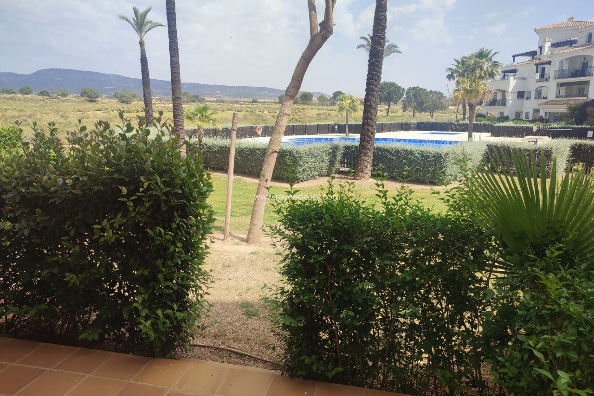 Resale - Apartment - Hacienda Riquelme Golf Resort