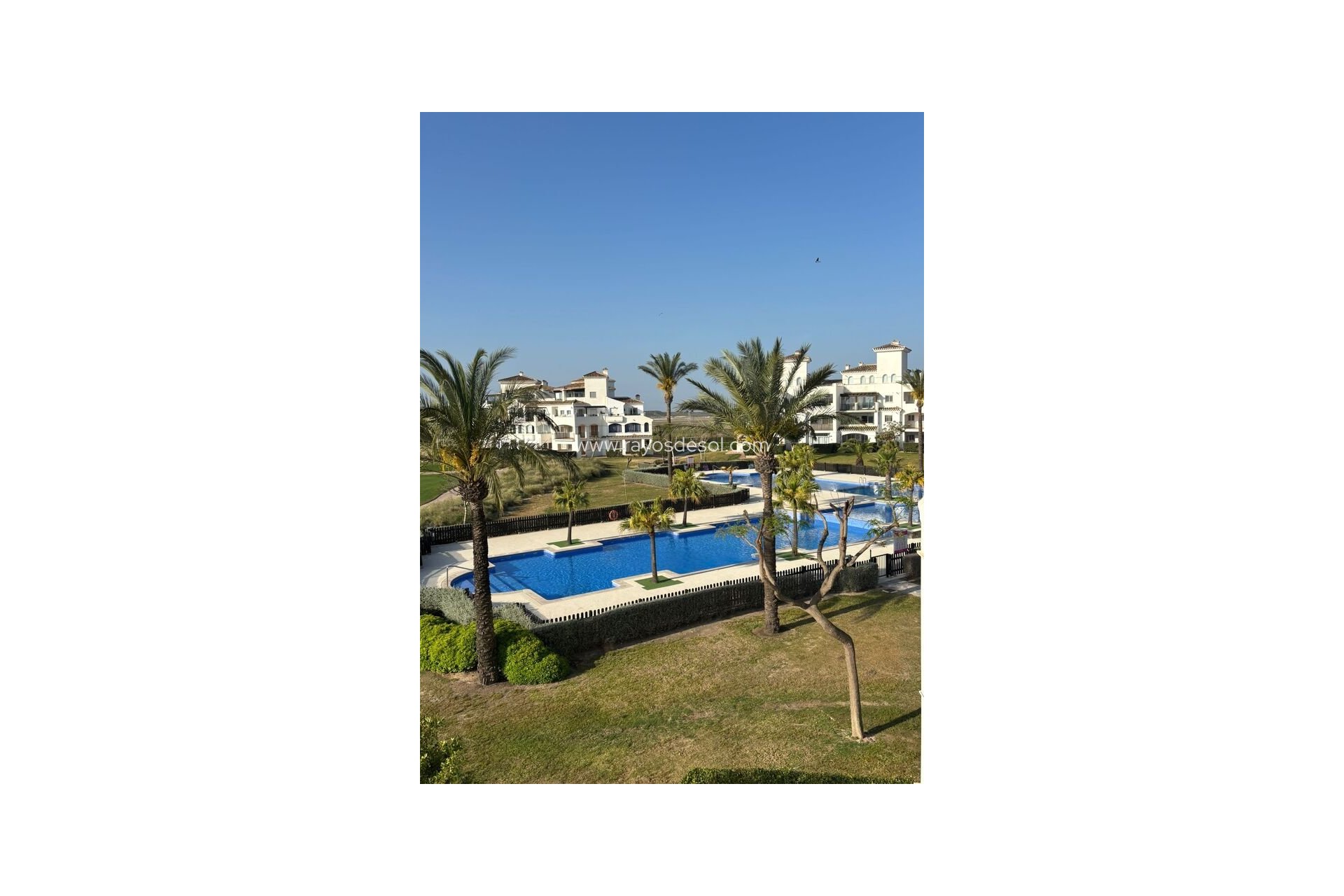 Resale - Apartment - Hacienda Riquelme Golf Resort