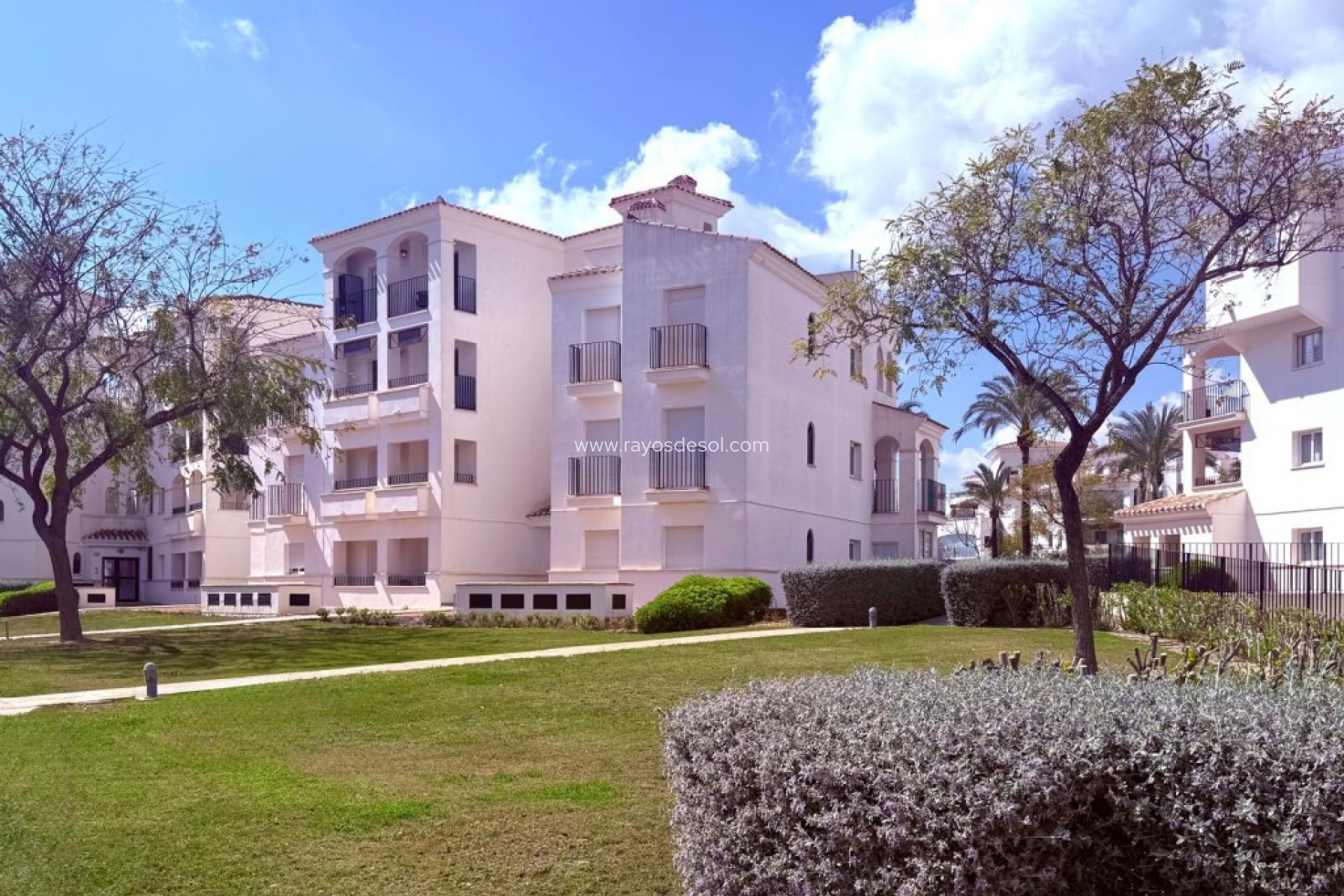 Resale - Apartment - Hacienda Riquelme Golf Resort