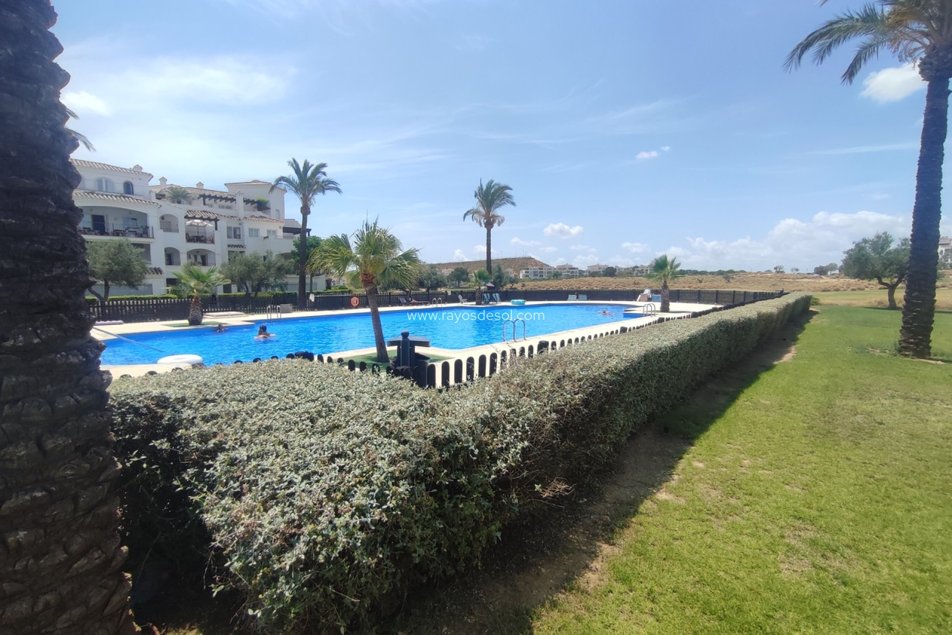 Resale - Apartment - Hacienda Riquelme Golf Resort