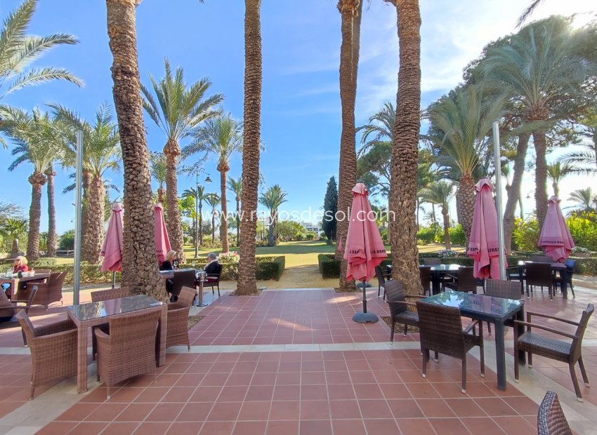 Resale - Apartment - Hacienda Riquelme Golf Resort
