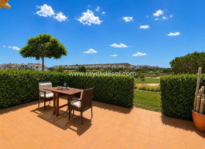 Resale - Apartment - Hacienda Riquelme Golf Resort