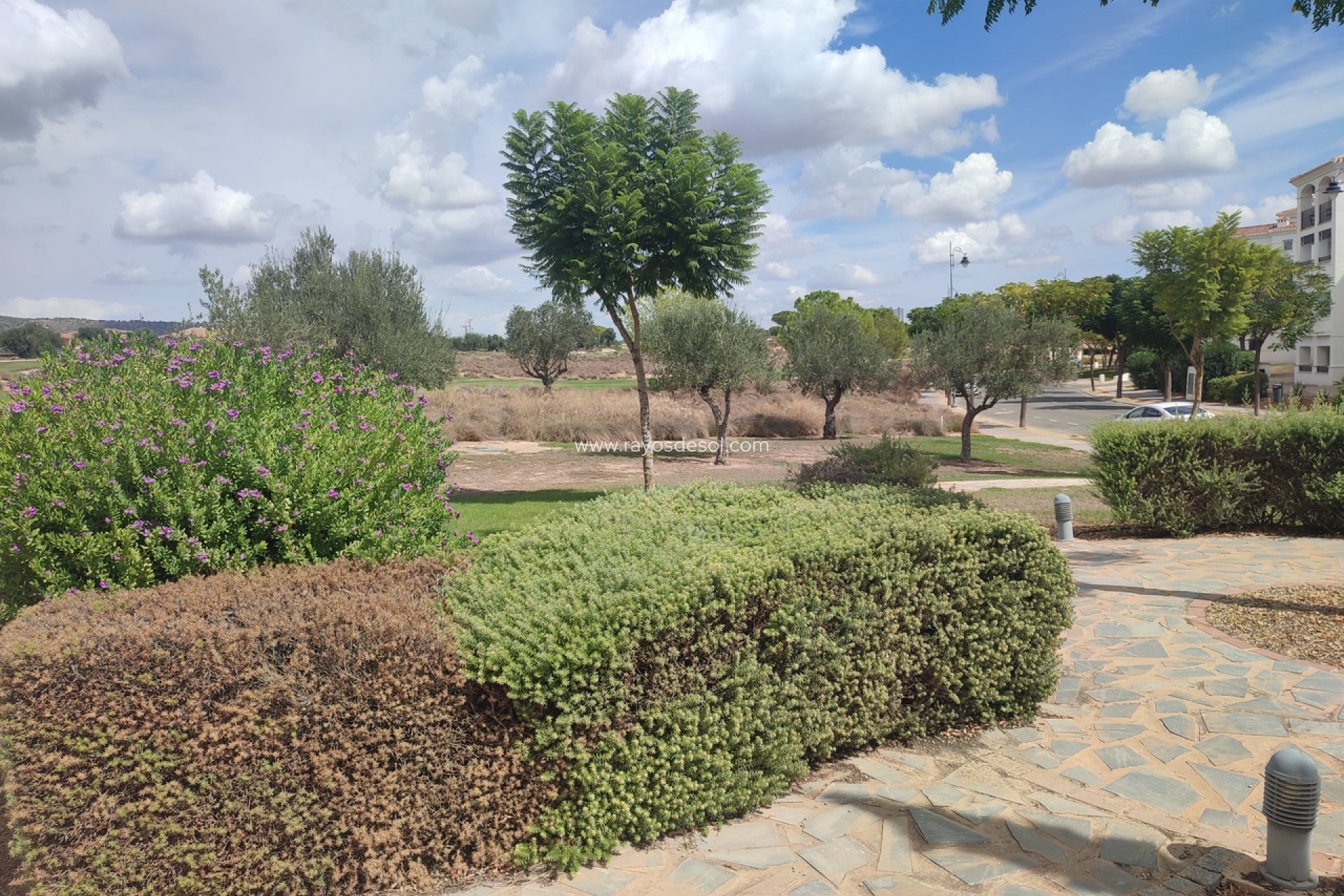 Resale - Apartment - Hacienda Riquelme Golf Resort