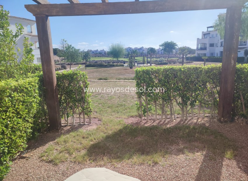 Resale - Apartment - Hacienda Riquelme Golf Resort